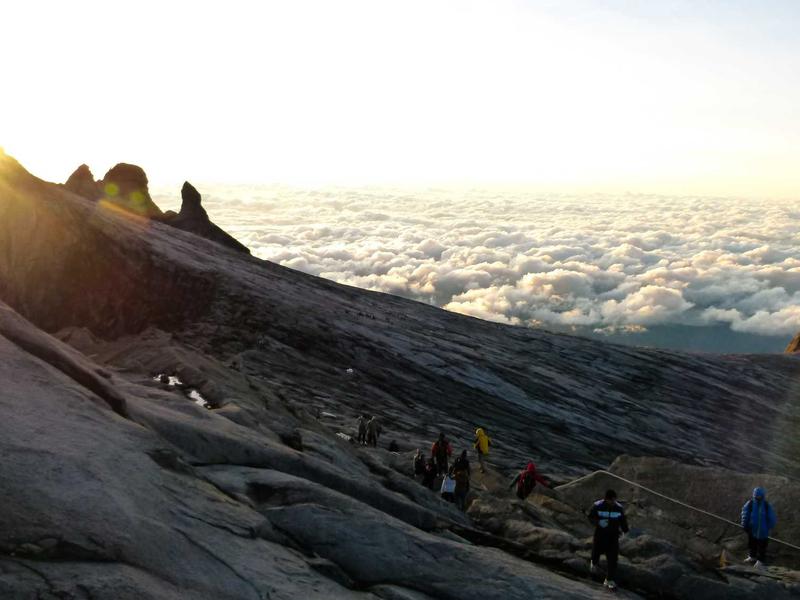 viber使用教程 - 官方下载